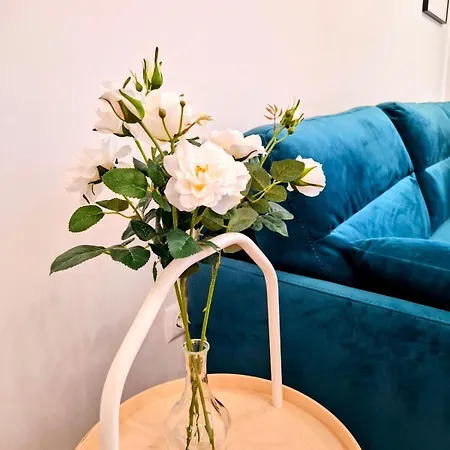 Apartment Bella Mare 2br Warna