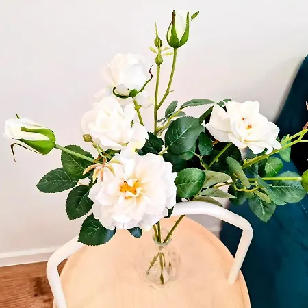 Bella Mare 2br Warna