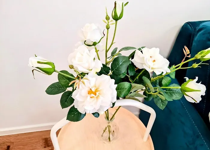 Bella Mare 2br Varna